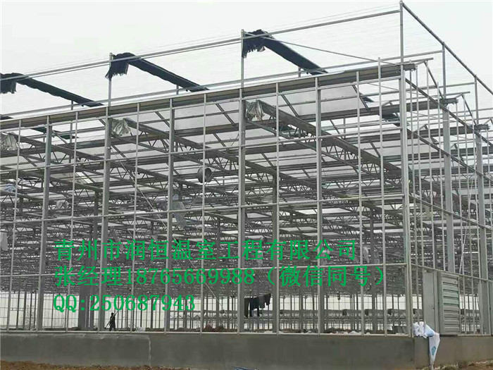 Ҵ